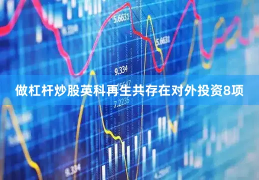 做杠杆炒股英科再生共存在对外投资8项